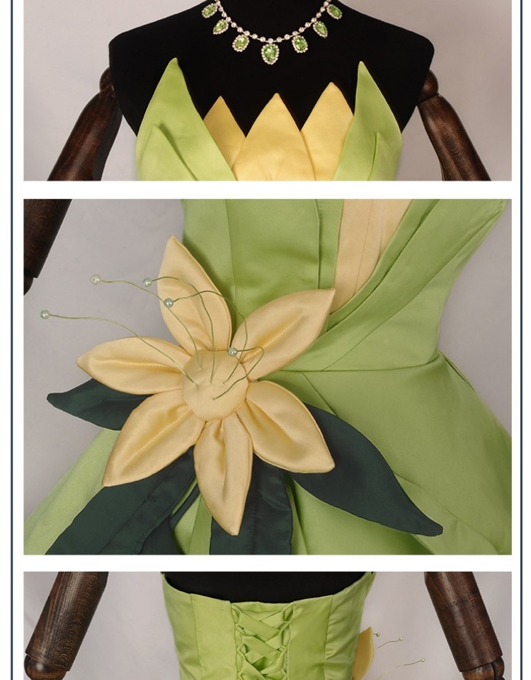 Prinses Tiana Jurk Cosplay Kos - Tech Accessories Women recensie en prijs