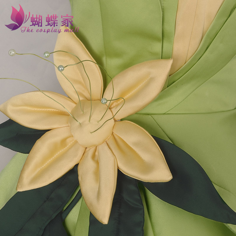 Prinses Tiana Jurk Cosplay Kos - Tech Accessories Women recensie en prijs